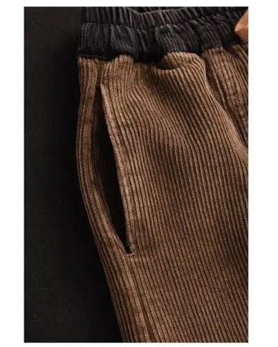 CD | Pantaloni din catifea de moda pentru femei
