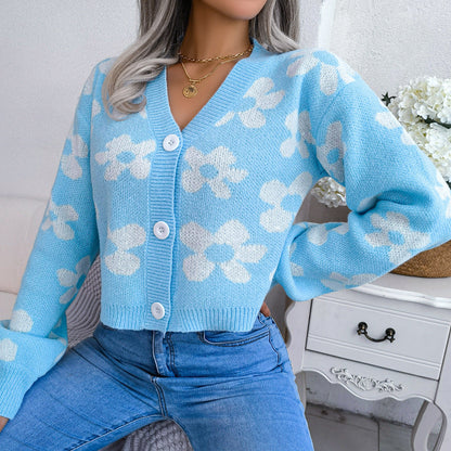 CD | Pulover trendy și elegant